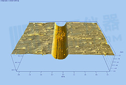 1600222703457474.jpg litixingmao-14.jpg